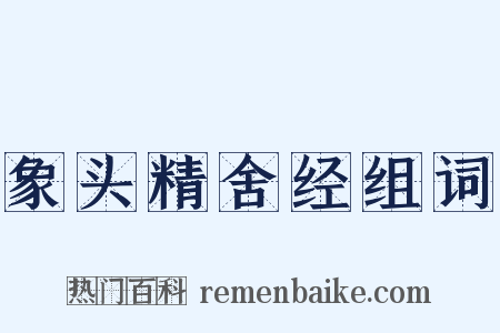 象头精舍经组词是什么意思的图片